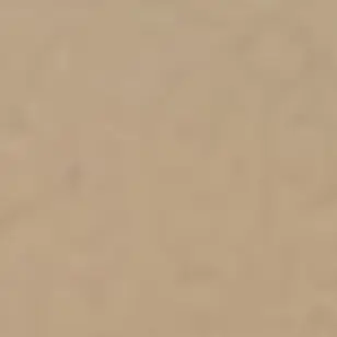 Profile image of 루이쨘