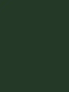 LargeToe9171의 일엑셰들🍗🍸