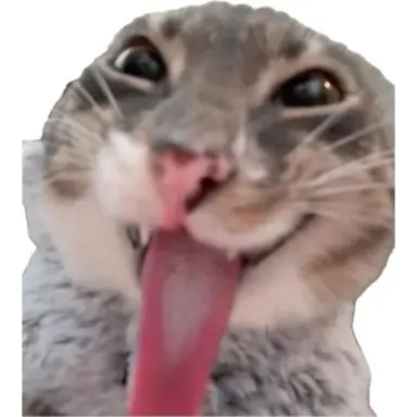 Profile image of John