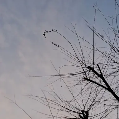 Profile image of 황수현