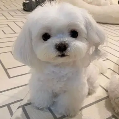 Profile image of 이서온