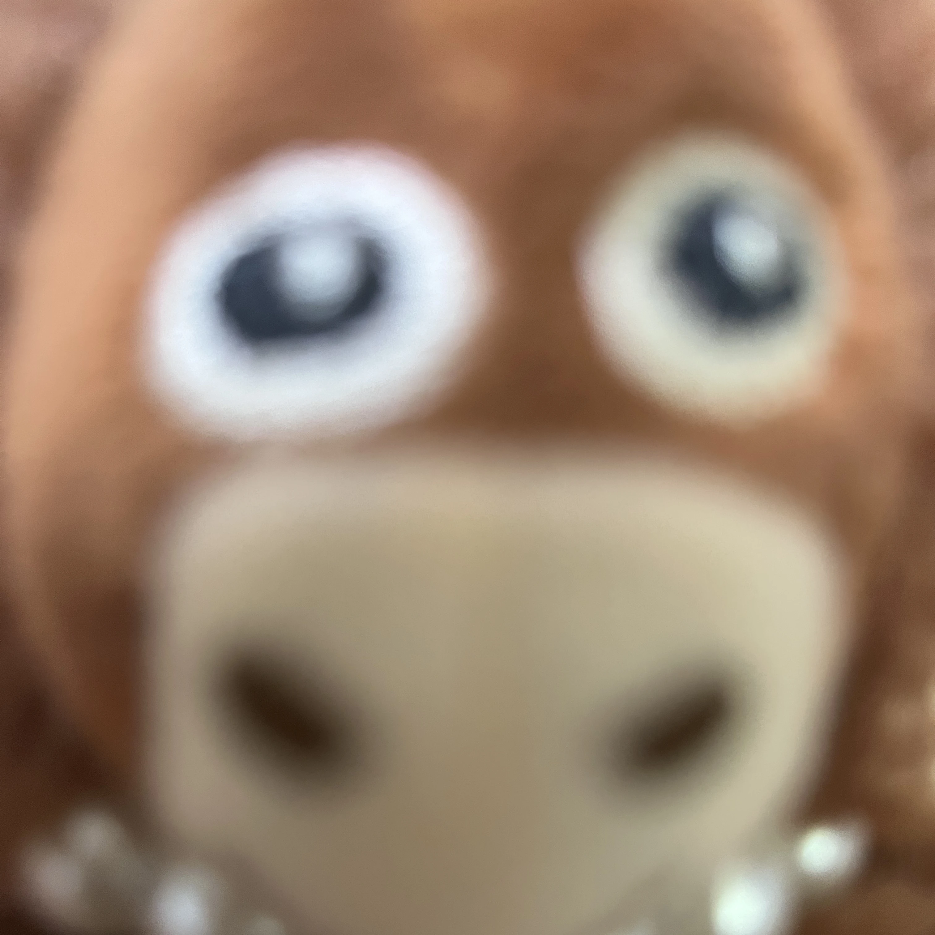 평학