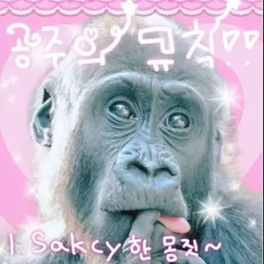 Profile image of 여우