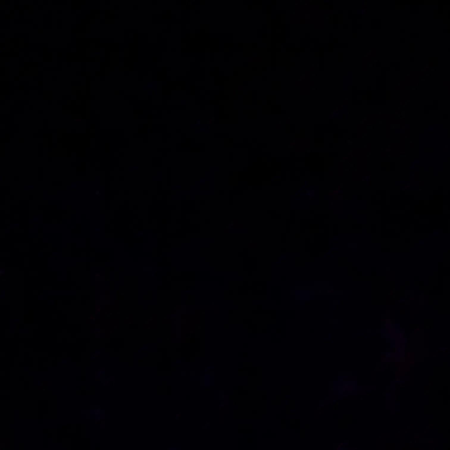 Hetelia의 이금혼
