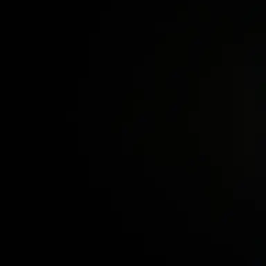 Profile image of 정숙희