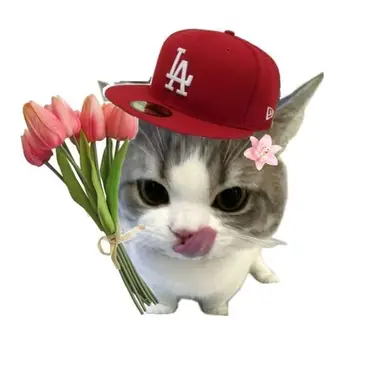 Profile image of 봇