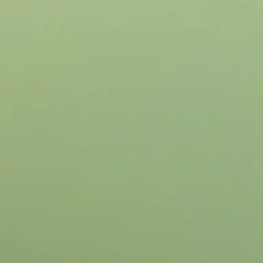 Profile image of 에스파