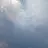 강표