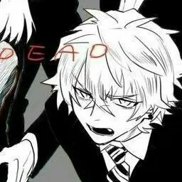 Profile image of 天津ノエル