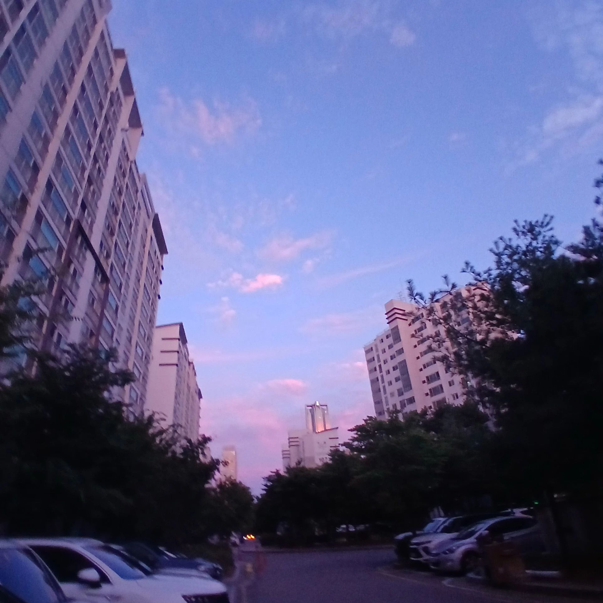 환자