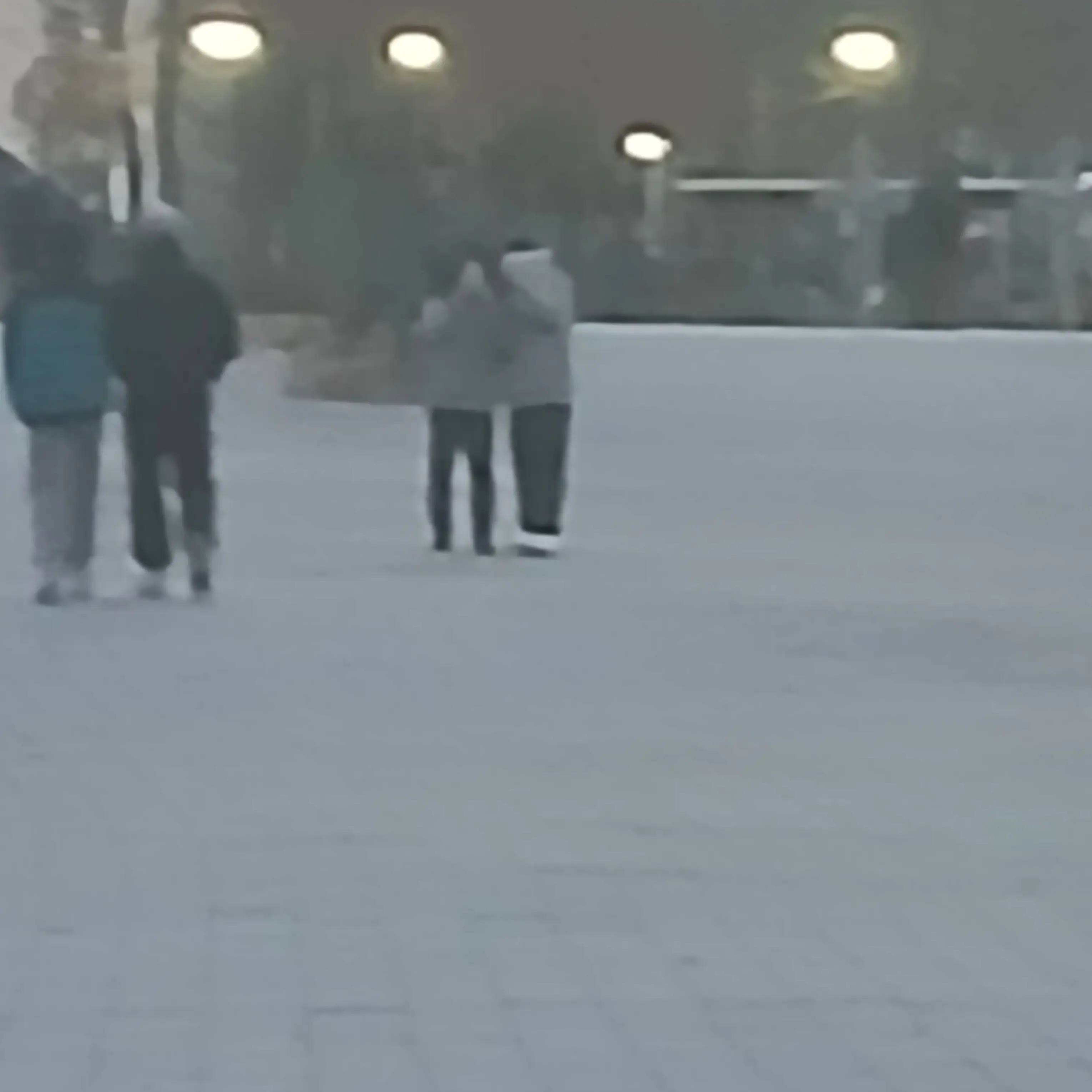 VitalOwl9720의 우리 학교 여자애들