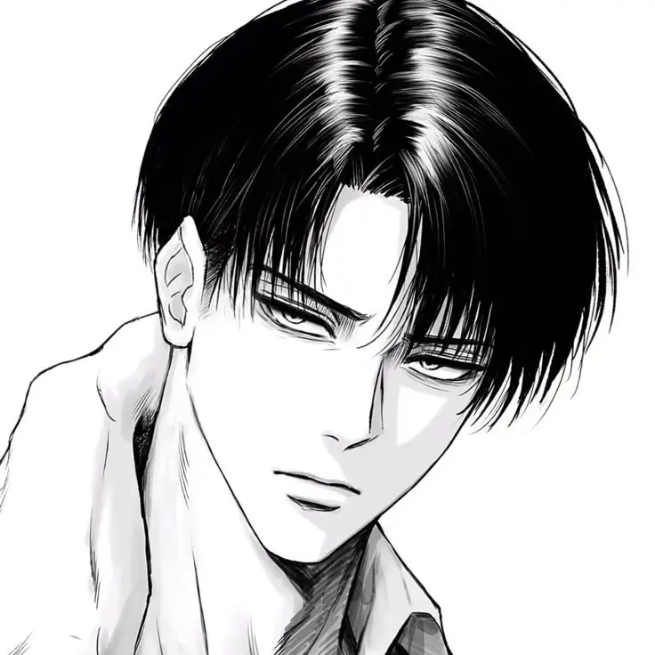 LeanerFace5068의 리바이 아커만
