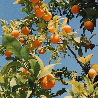 Profile image of 덕개