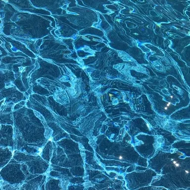 Profile image of 잠뜰