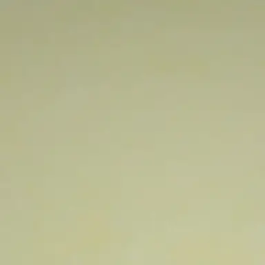 Profile image of らいと