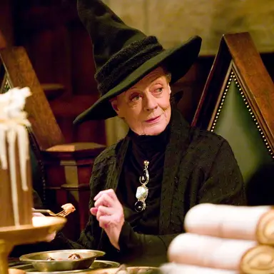 Profile image of Professor McGongall