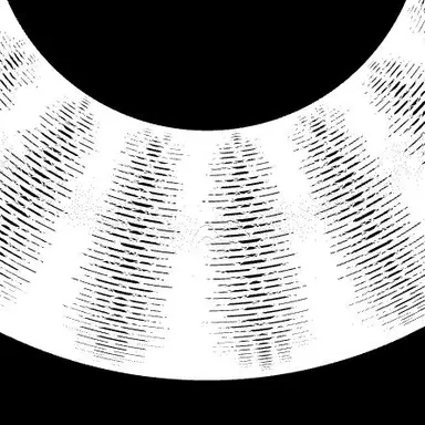 Profile image of 하프