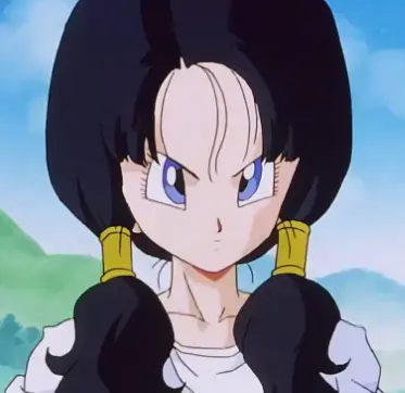 RigidCopy4497의 Videl Satan