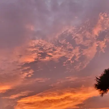 Profile image of 여우