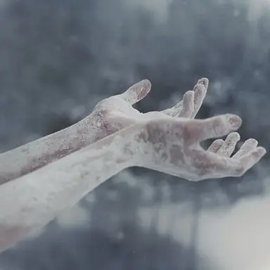 Profile image of 김동운