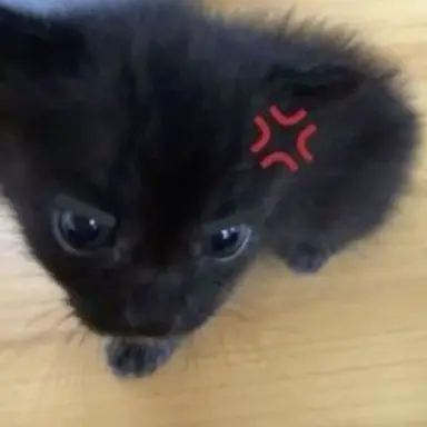 Profile image of 마에다 리쿠