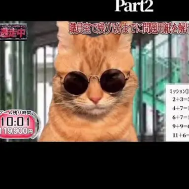 Profile image of ハンター猫