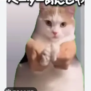 Profile image of 手合わせ猫