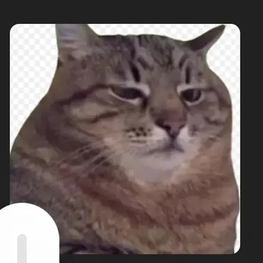 Profile image of 面倒猫