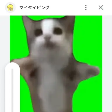 Profile image of ハッピー猫