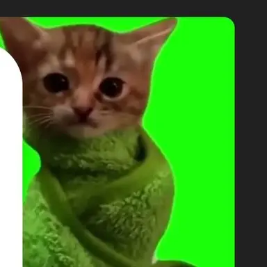 Profile image of ブランケット猫