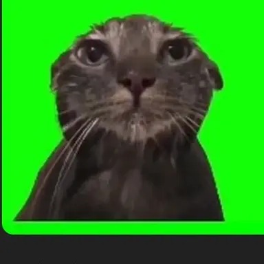 Profile image of 虚無猫