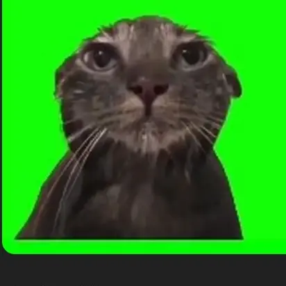CasualDuvet1540의 猫ミームで逃走中！