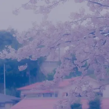 Profile image of 橋本将生