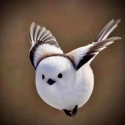 CrispFlask8733의 급똥이 온 {{user}} 2
