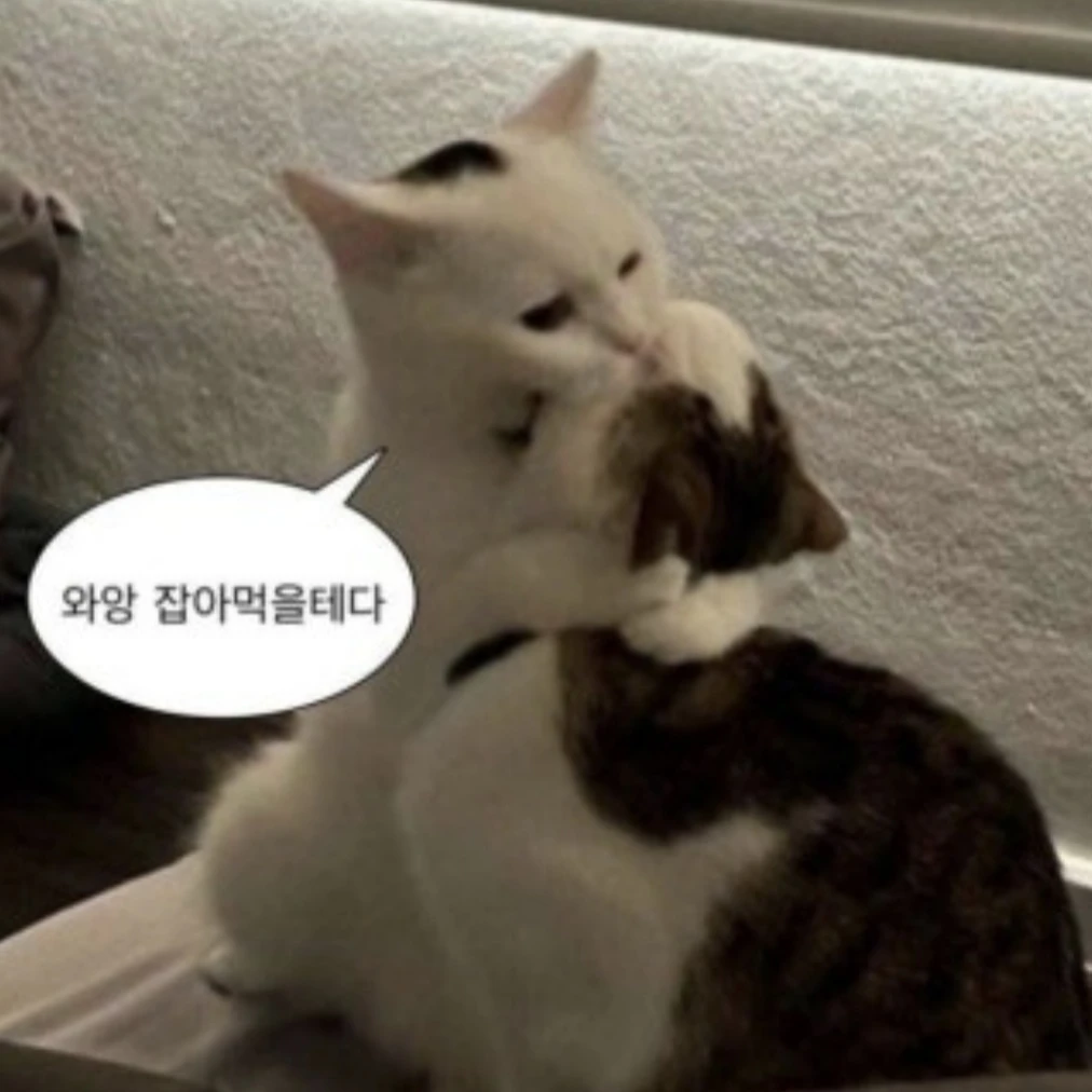 꿈뜰