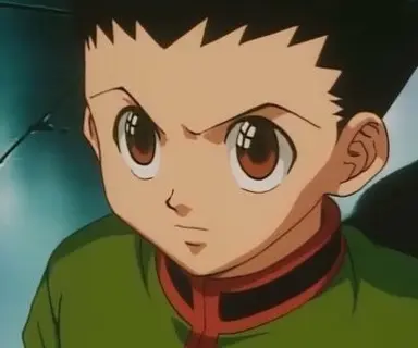 Profile image of Gon