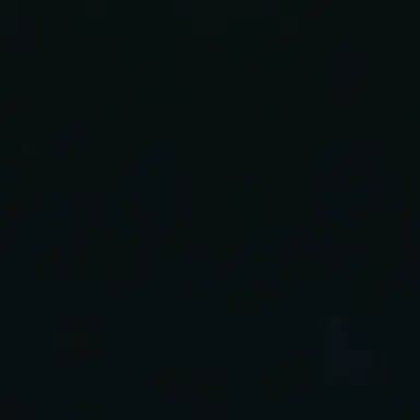 Profile image of 김선호