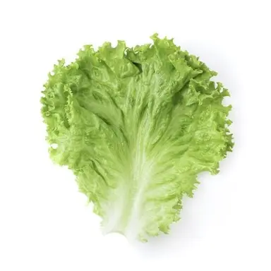 Profile image of Unter