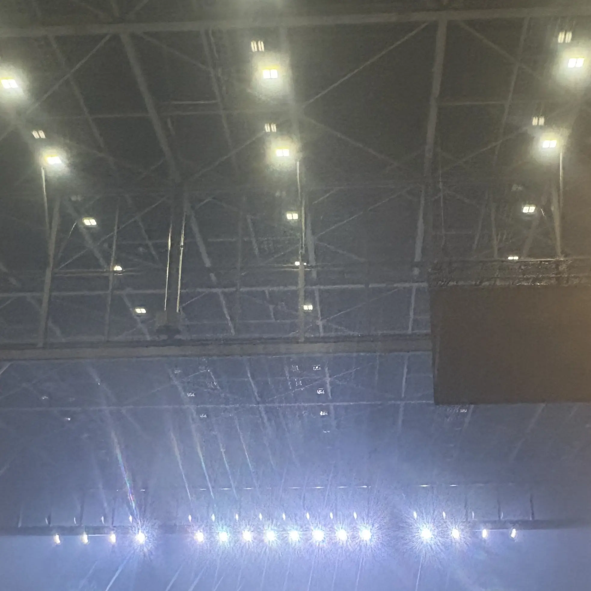 RuggedVirus3942의 東京