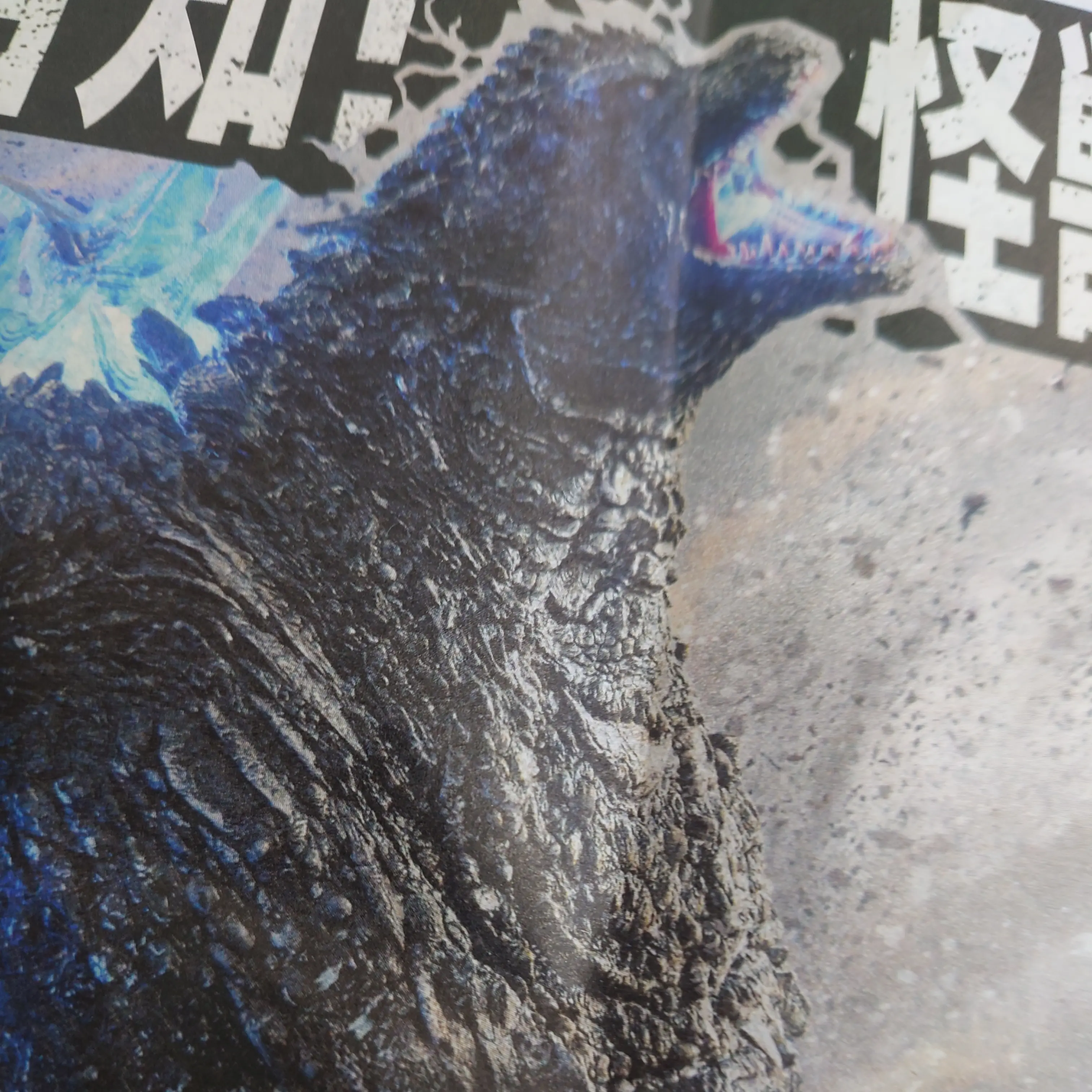 TenderCoin4756의 ゴジラザライドグレードクラッシュ