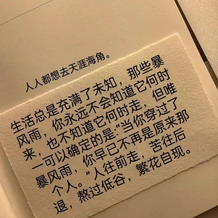 ­ 대표 이미지