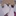 宮侑