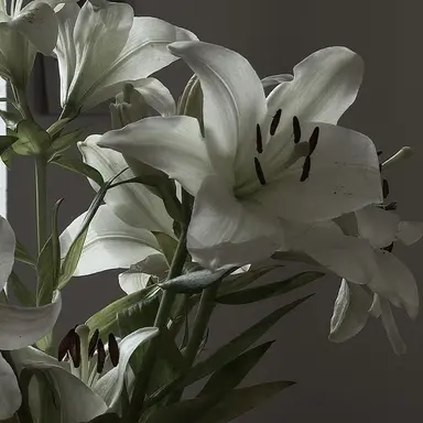 Profile image of 류 민 석