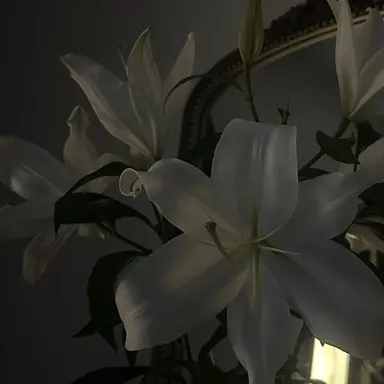 Profile image of 김 광 희