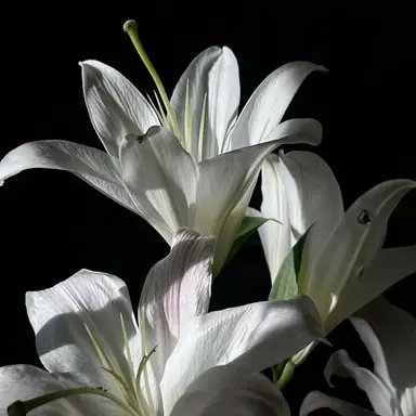 Profile image of 정 지 훈