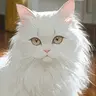 Profile image of キキ