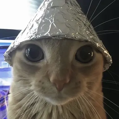 Profile image of キャット