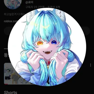 Profile image of 료미