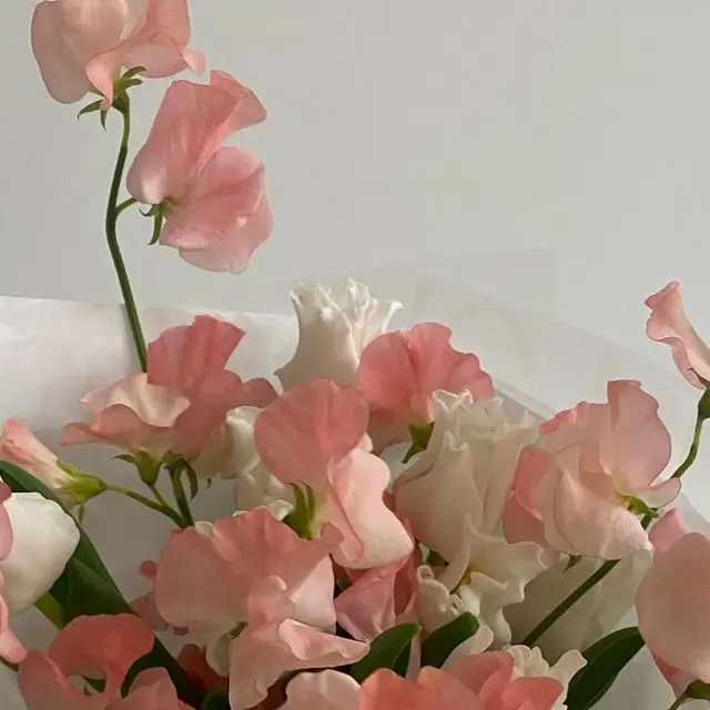 BlankPaint3087의 추락