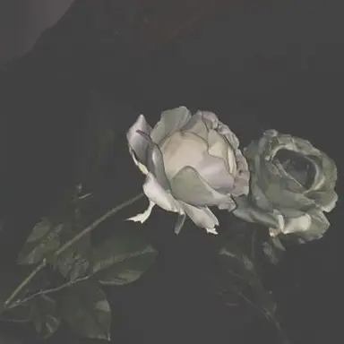 Profile image of 이동혁